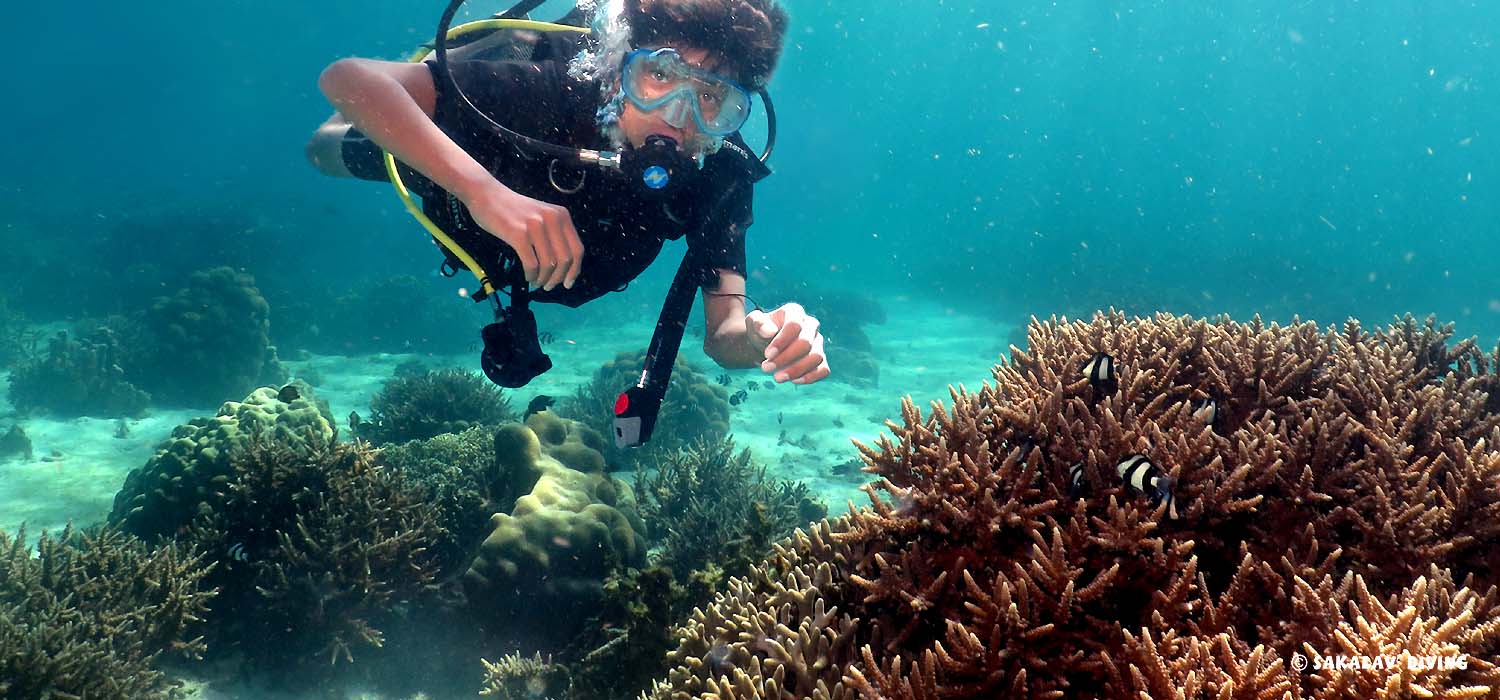 first dive in Nosy Be Madagascar